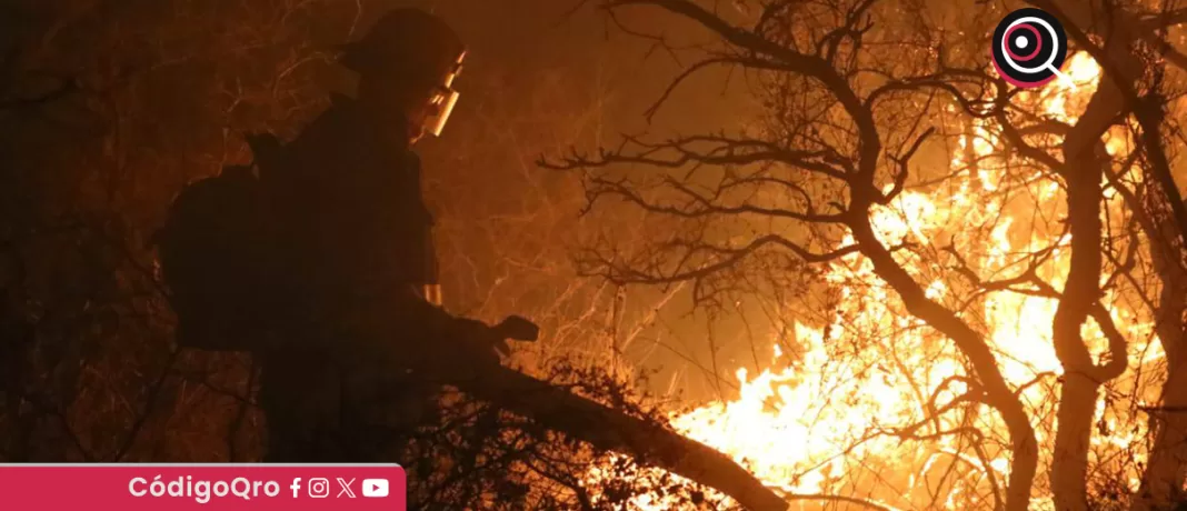 El incendio forestal en El Tángano arrasó con más de 530 hectáreas de vegetación. Foto: Especial