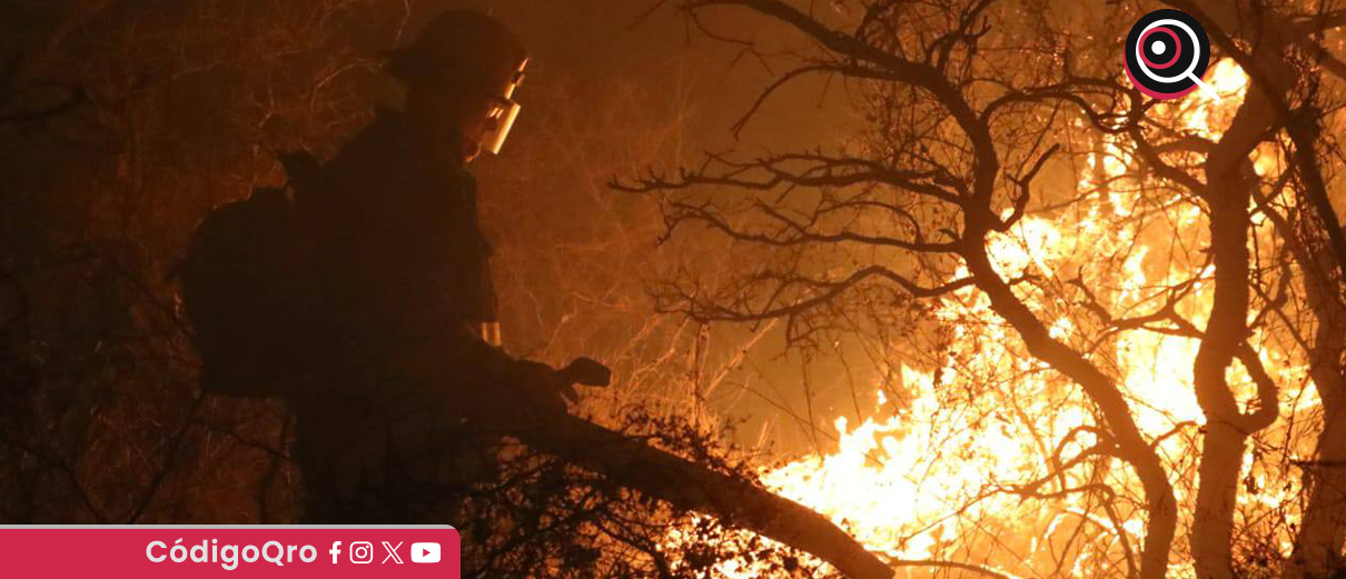 Autoridades deben informar quién restaurará superficie afectada por incendio