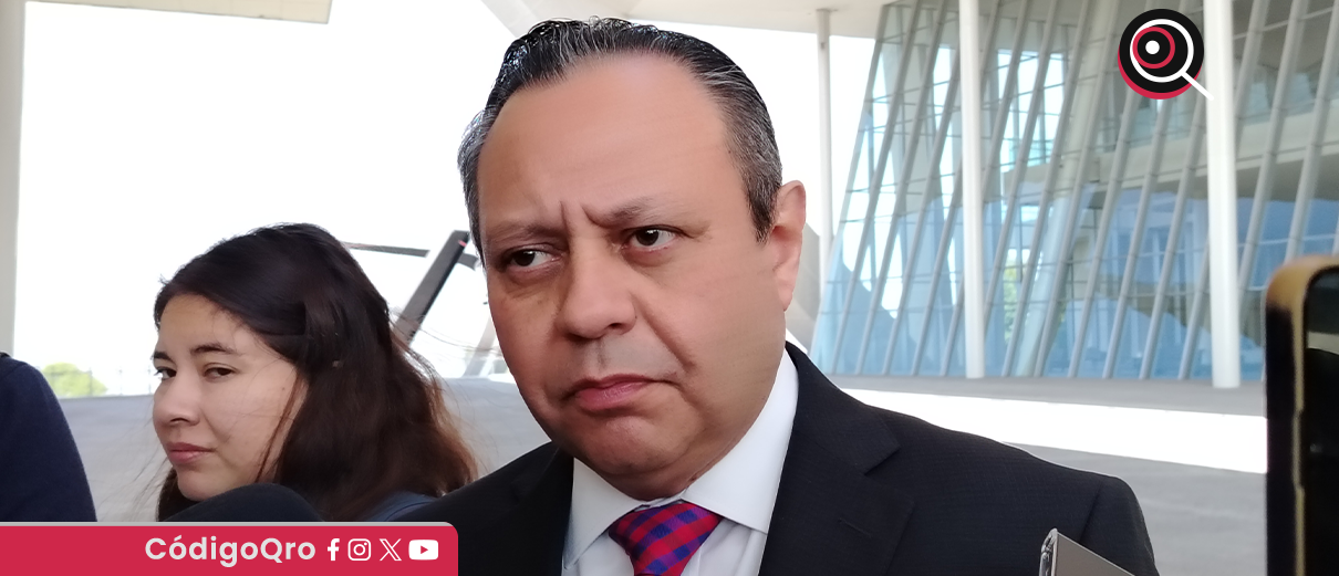 Agresión a burrita Oli no quedó impune: TSJ