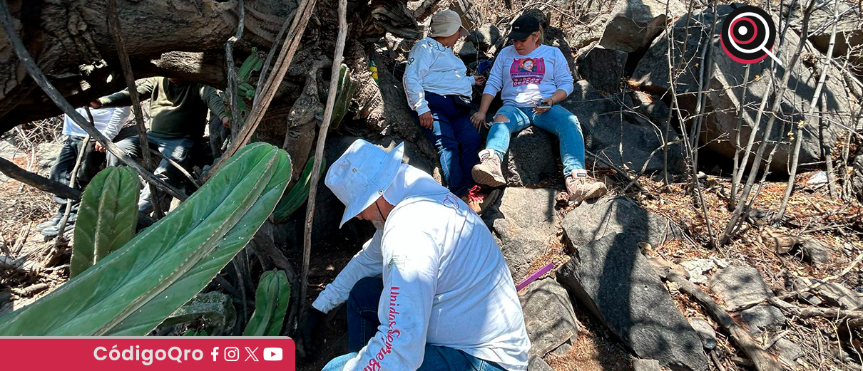 Colectivo localiza más restos óseos en bulevar de la Nación