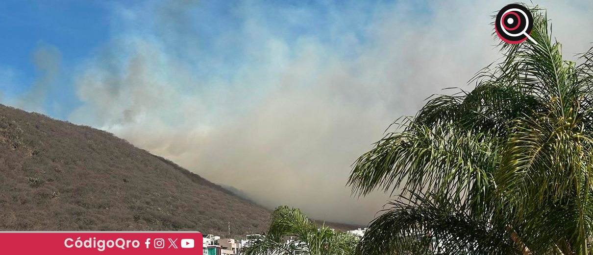Conafor no atendió llamado de apoyo para combatir incendio