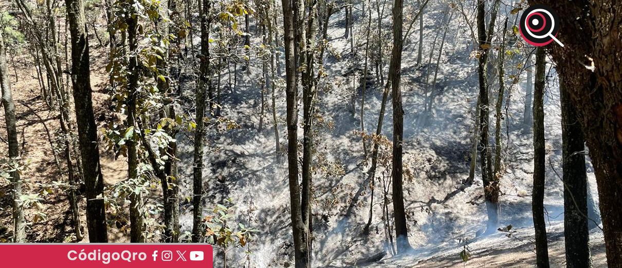 Controlan en 95% incendio forestal en Huimilpan y Amealco