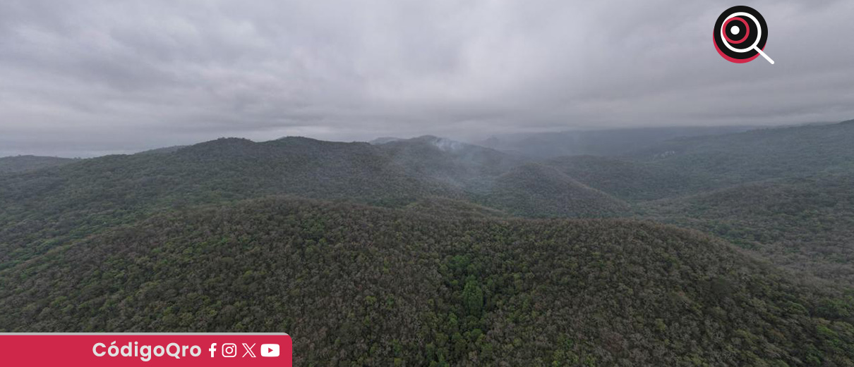 Controlan incendio forestal en Jalpan de Serra