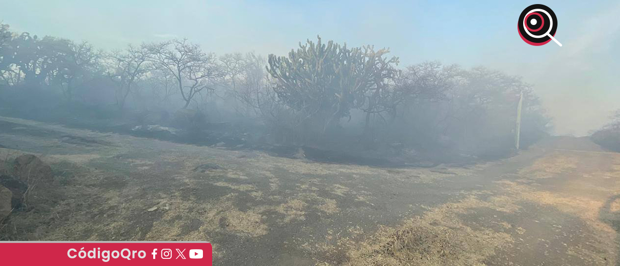 Tras incendio, reportan descenso de animales de El Tángano en busca de agua