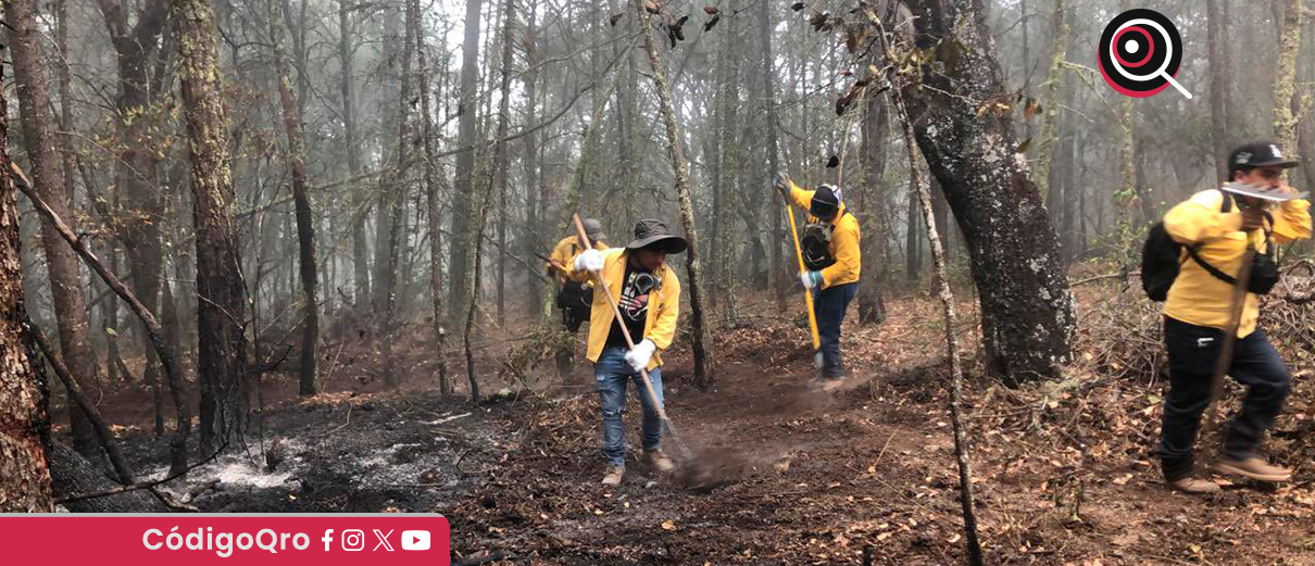 Atienden incendios forestales en la Sierra Gorda de Querétaro
