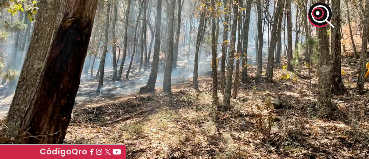 Ante incendios forestales, liberarán recursos para contingencias