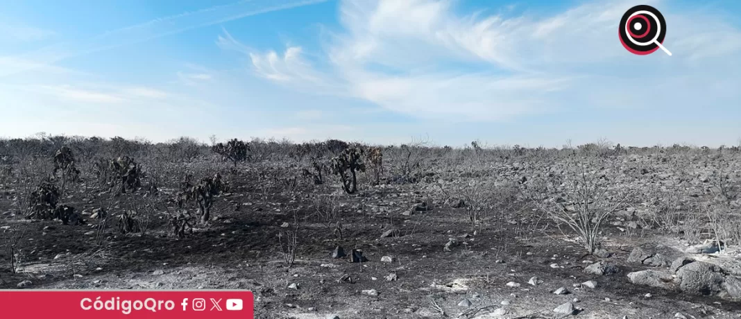 El secretario de Gobierno del estado de Querétaro, Carlos Alcaraz, descartó especulación inmobiliaria como causa del incendio en El Tángano. Foto: Especial