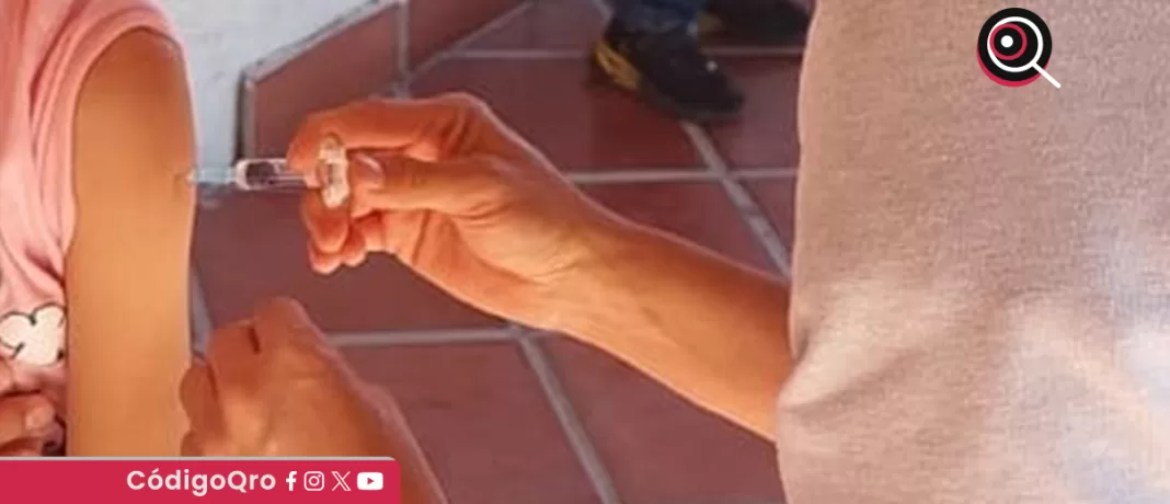 Suman 547 mil vacunas aplicadas contra la influenza en el estado de Querétaro. Foto: Especial