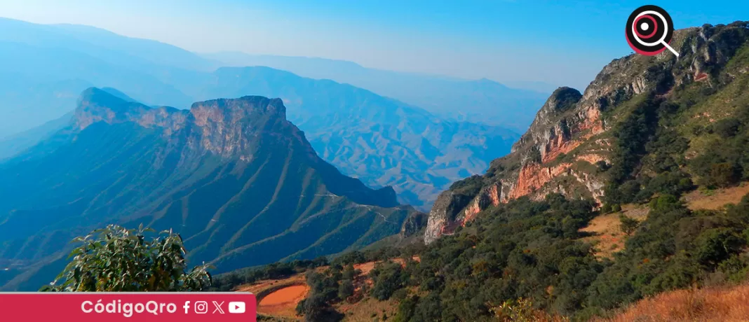 En la Sierra Gorda queretana han adoptado la regeneración forestal como una alternativa de desarrollo económico; esto, a través del programa Sello Querétaro, en el cual los dueños y ejidatarios reciben un pago a cambio de cuidar los bosques. Foto: Especial