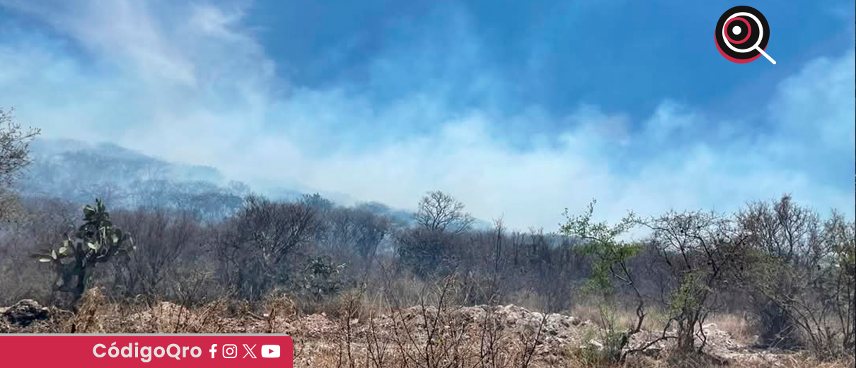 Querétaro requiere una estrategia integral para disminuir incendios: Observatorio