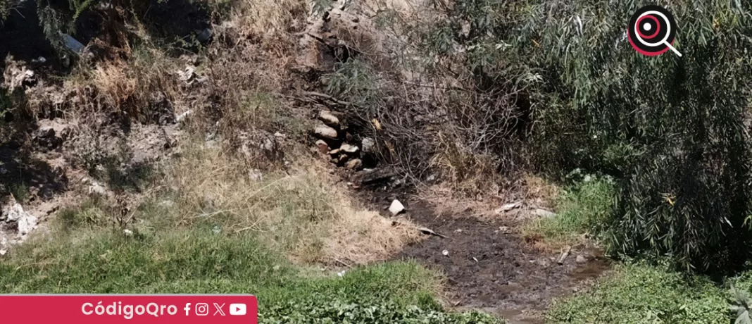 Profepa realizó un recorrido de inspección el pasado 4 de abril y encontraron una tubería de PVC que pertenece a dicha empresa, con la que descarga sus aguas residuales en el río / Foto: Especial