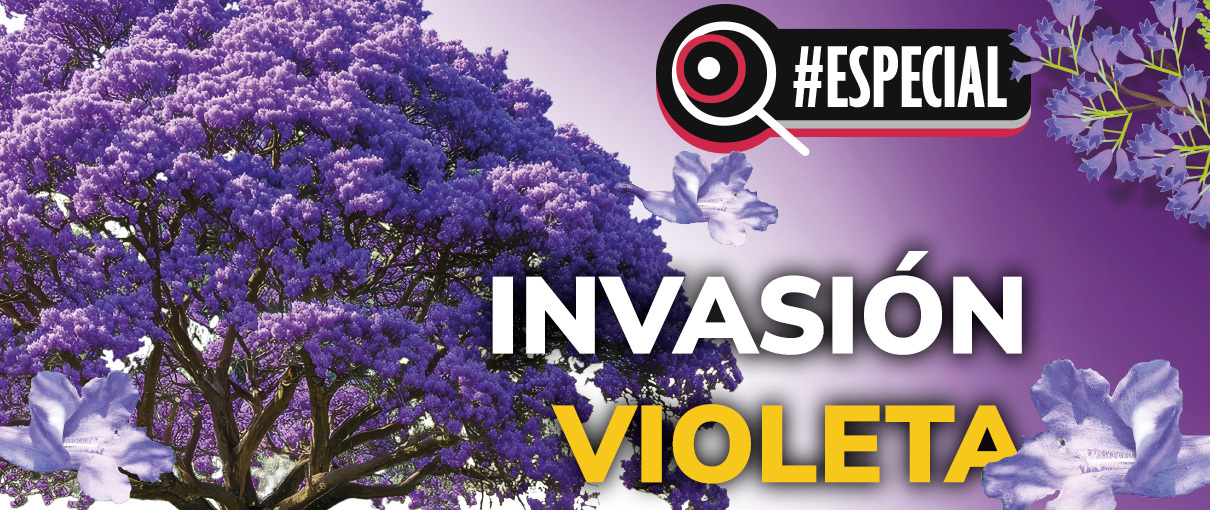 Invasión violeta