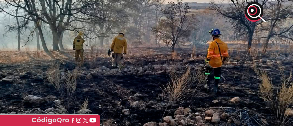 Conafor reporta 17 incendios forestales en la entidad hasta abril