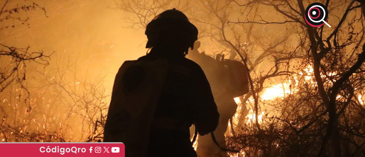 Incendio en El Tángano afectó 531 hectáreas de vegetación