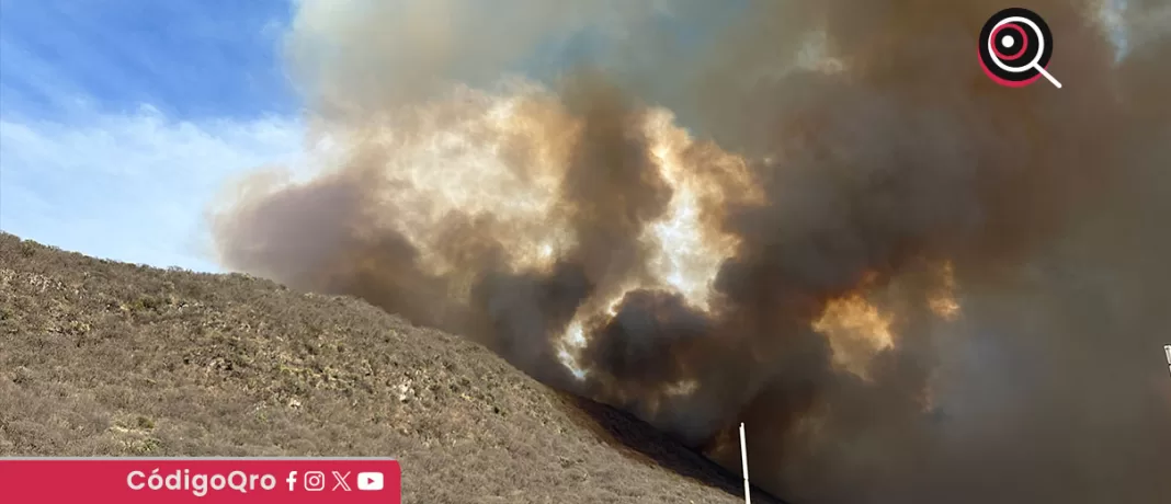 El presidente de la OCPAQ aseveró que se requiere una estrategia amplia, además de la disuasión, para prevenir los incendios forestales / Foto: Especial