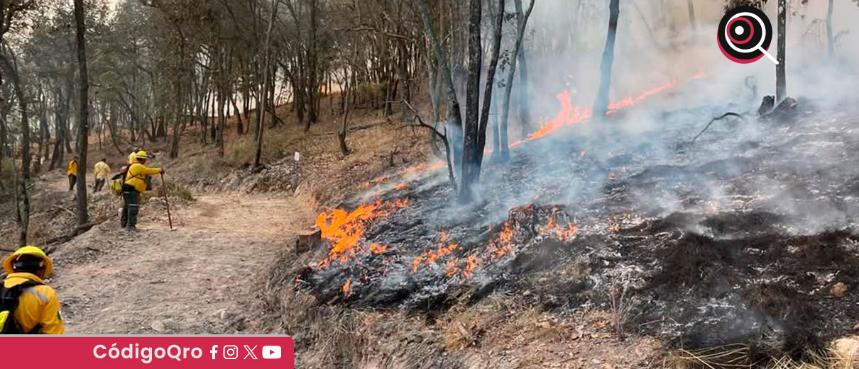 Protección Civil reporta avance de 70% en control de incendio en La Beata