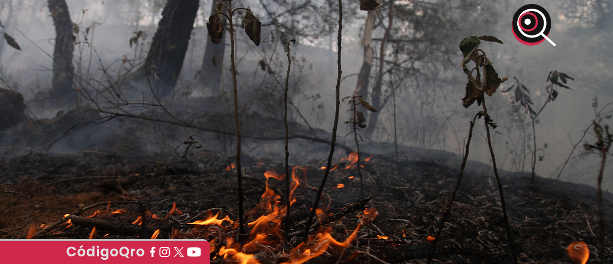 México registra 114 incendios forestales activos