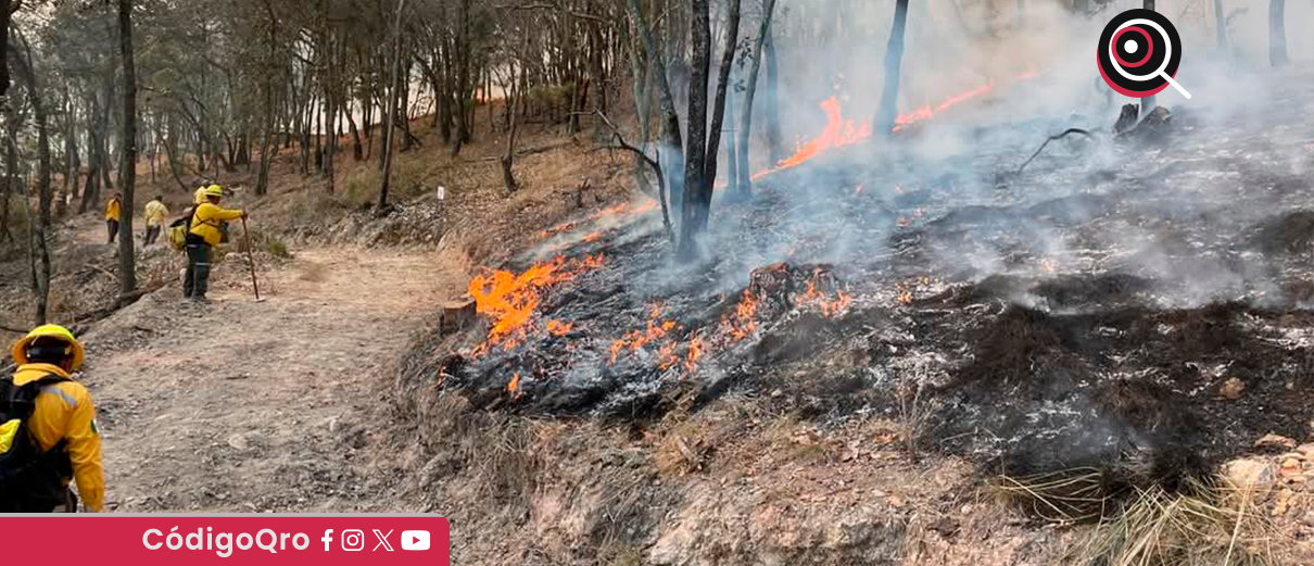 Exhortan a las autoridades a actuar con rigor contra quienes provocan incendios