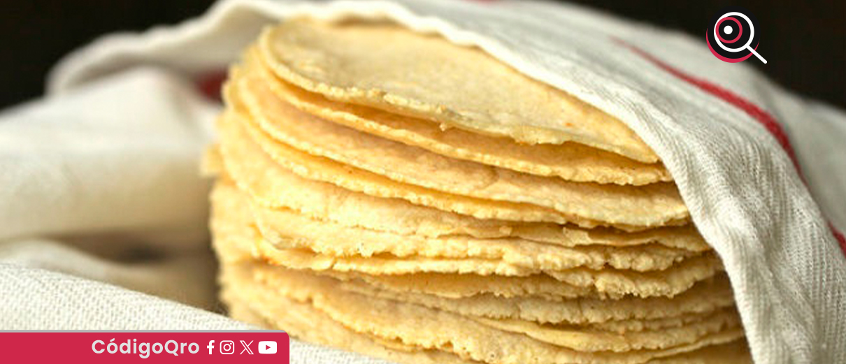 ¡UNAM desarrolla la tortilla nutracéutica para combatir la desnutrición!
