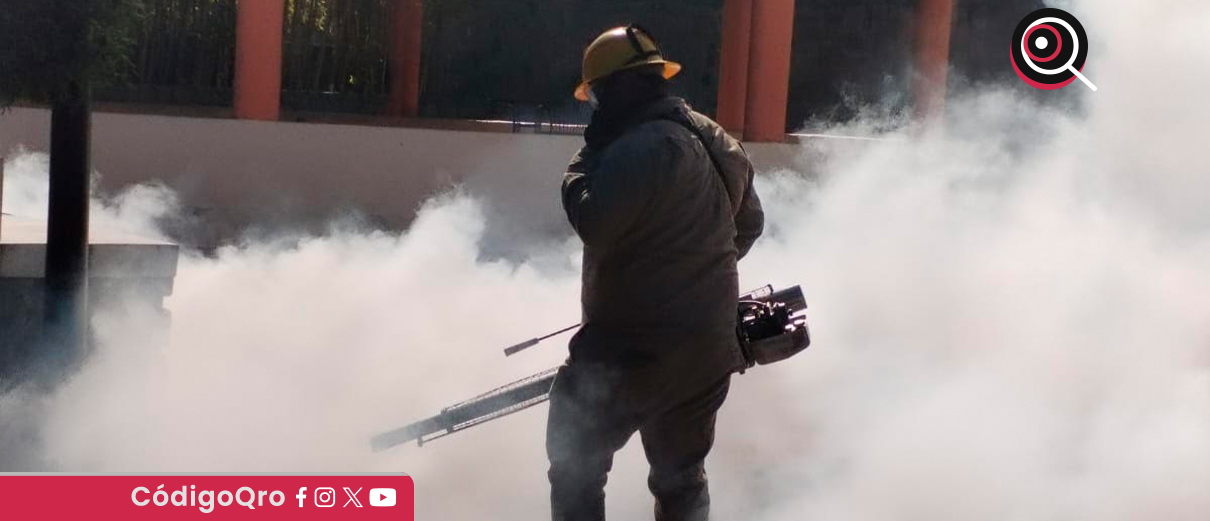 Querétaro registra 18 casos positivos de dengue