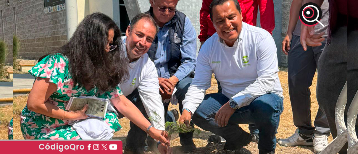 CEA inicia actividades de reforestación en plantel 5 del Cobaq
