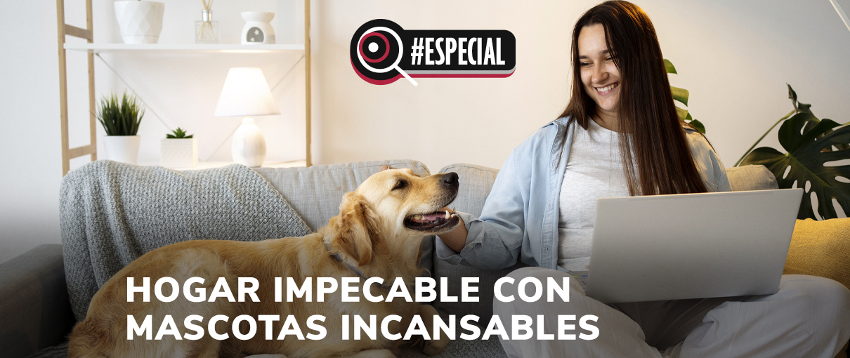 Hogar impecable con mascotas incansables
