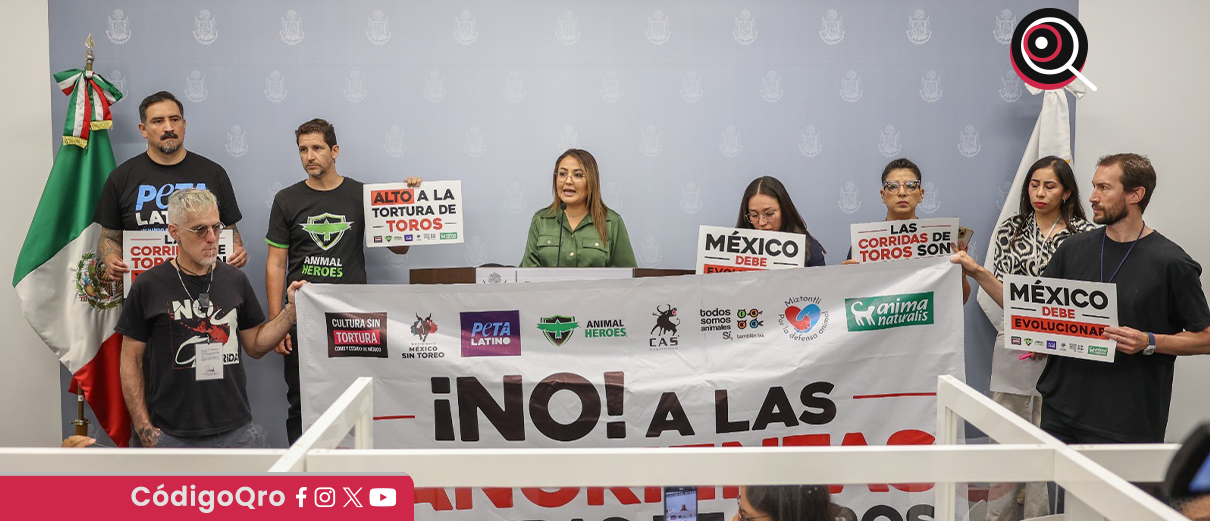 Animalistas acompañan iniciativa para que fiesta de toros deje de ser patrimonio cultural